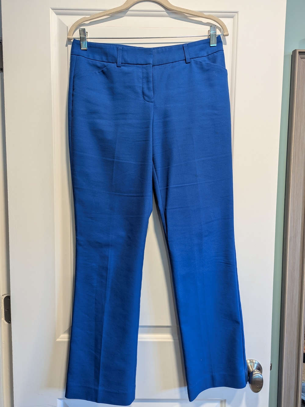 Express Royal Blue Straight-Leg Dress Pants
